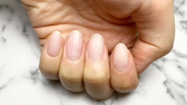 自爪風クリア (ツヤなし)